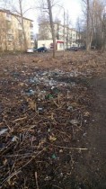 Жители микрорайона Вахрушево жалуются на мусор