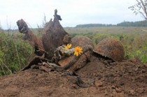 В Тульской области обнаружены останки 9 красноармейцев