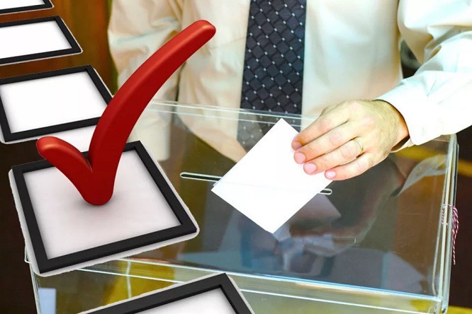 Независимые наблюдатели проверят выборы в Тульской области