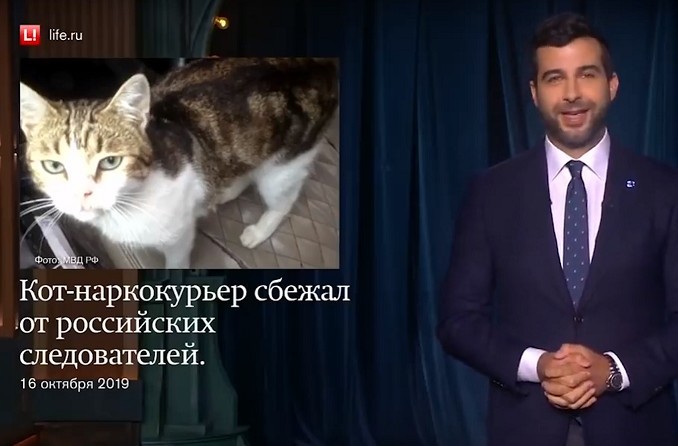 Новомосковского кота-наркокурьера показали на 