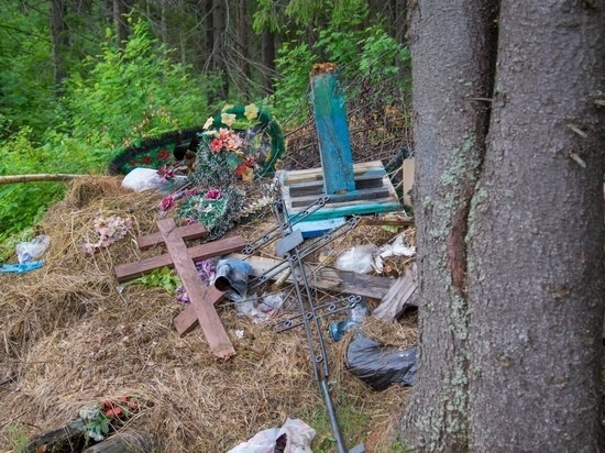 Соцсети: в Новомосковске валят памятники на кладбище, чтобы перепродать места