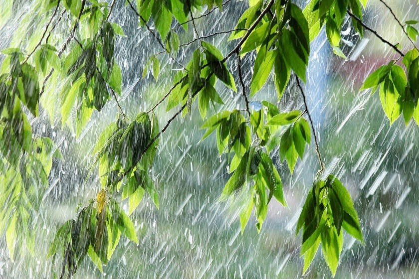 Погода в Новомосковске 2 июня: до +15 и дождь