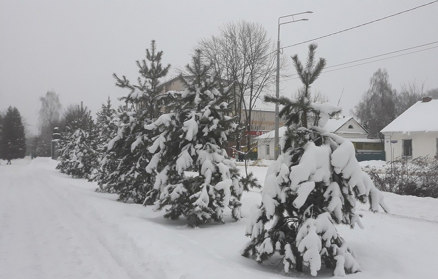 Погода в Новомосковске 9 февраля: ветрено, пасмурно и холодно 