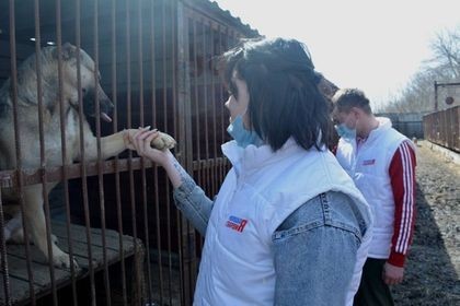 В Новомосковске волонтеры помогли зооприюту