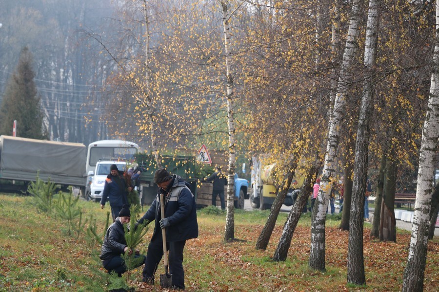 В Новомосковске до зимы планируют высадить 2500 тысячи деревьев