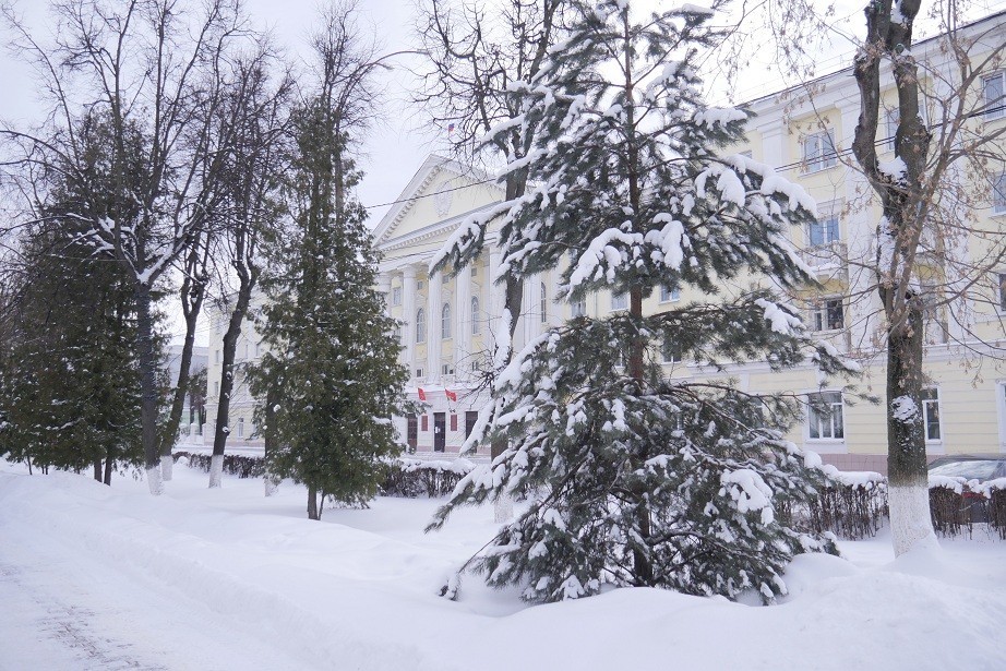 Погода в Новомосковске 31 января: снегопад, порывистый ветер и до - 2 градусов