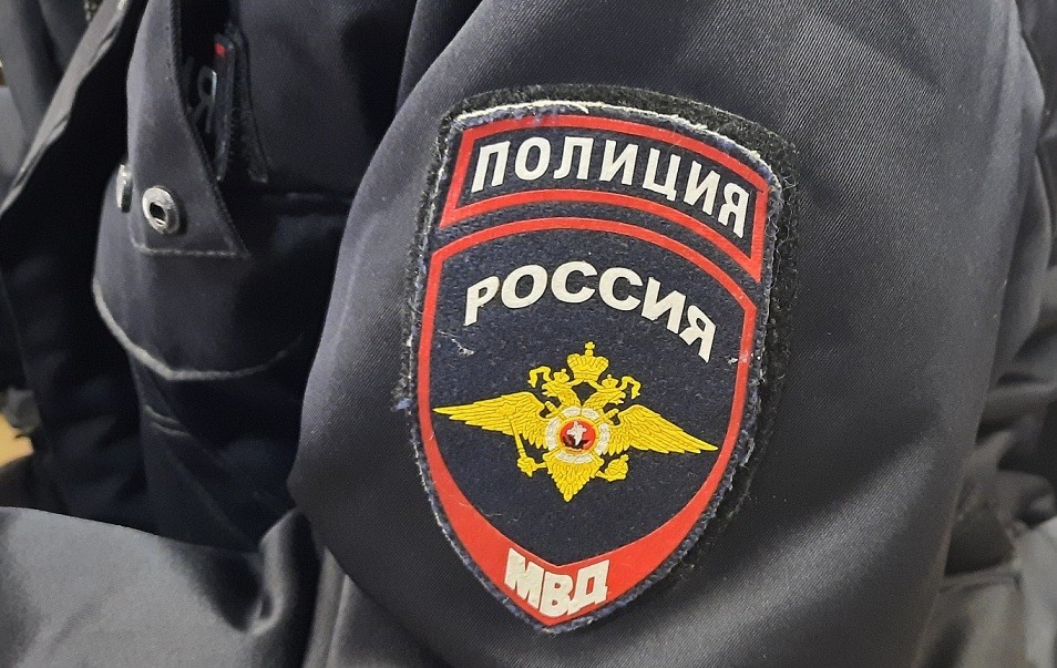 Жительница Новомосковска оскорбила полицейского: суд назначил ей штраф в 50 тысяч рублей