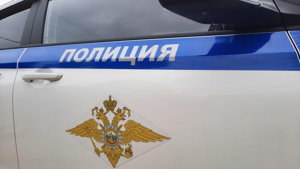 Новомосковские полицейские установили угонщика машины