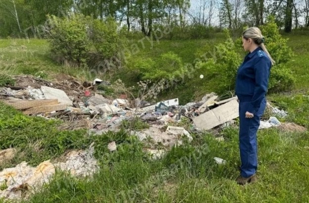 Прокуратура выявила несанкционированную свалку в одной из новомосковских деревень