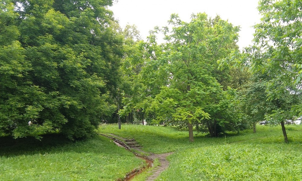 Погода в Новомосковске 20 июня: до + 26 и возможен дождь с грозой