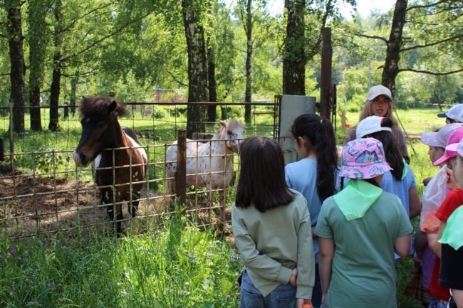 В Детском оздоровительно-образовательном центре организовали для школьников квест с лошадьми