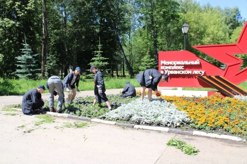 Новомосковские школьники дарят городу красоту и заботу