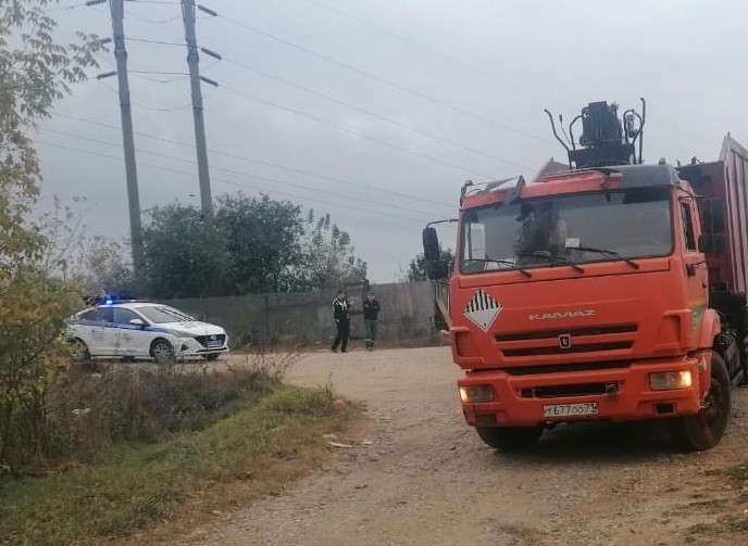 В Тульской области под колесами 