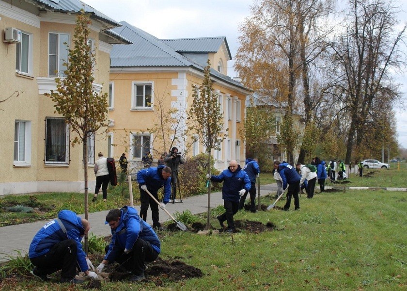 На улице Трудовые Резервы высадили деревья