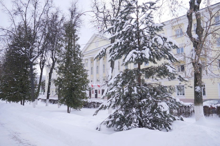 Погода сегодня новомосковск тульская область