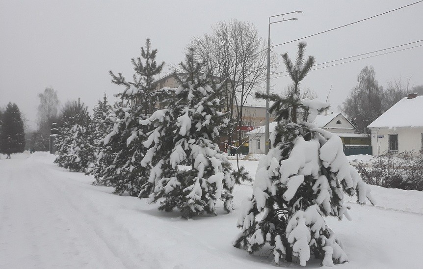 Погода в новомосковске на 14 дней тульской. Новомосковск снег.