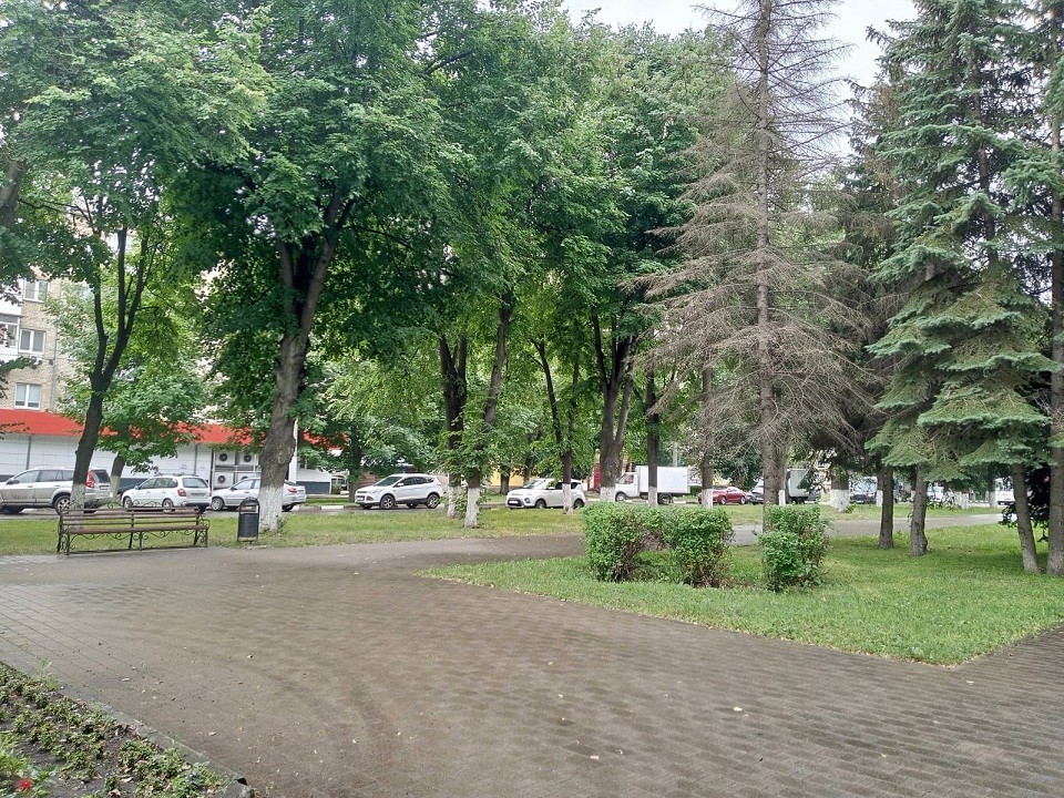 Погода в новомосковске. Новомосковск. Новомосковск Тульская область. Фото сегодняшнего Новомосковска фото. Рязань пасмурно.