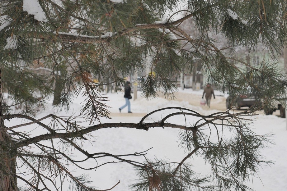 Погода в новомосковске на 14 дней. Новомосковск снег. Открытки с ветреной погодой в декабре.