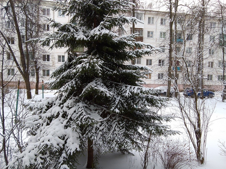 Погода в Новомосковске