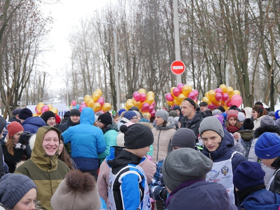 Сокольники новомосковск